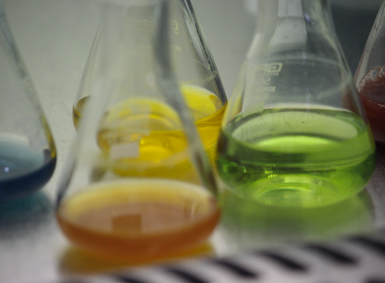 Colourful algae flasks